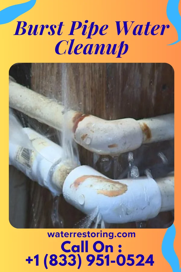 Burst Pipe Water Cleanup in Wheeling, MO