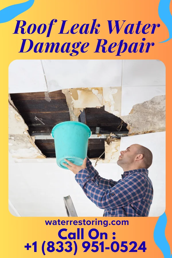 Roof Leak Water Damage Repair in Wheeling, MO