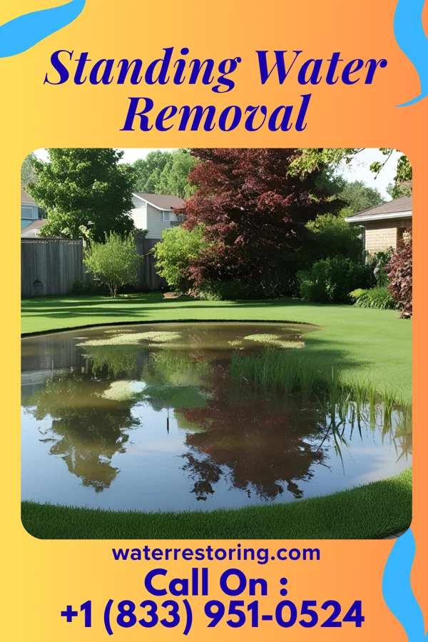 Standing Water Removal in Wheeling, MO
